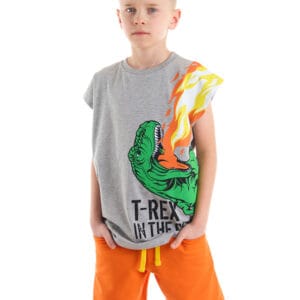 ⁦T-Rex Flame Boys Sleeveless Summer T-shirt Shorts Team⁩ - الصورة ⁦1⁩